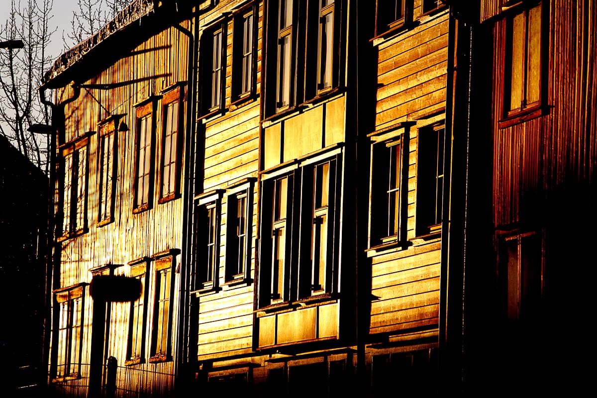 Whale tail breaking the surface off the coast of northern Norway