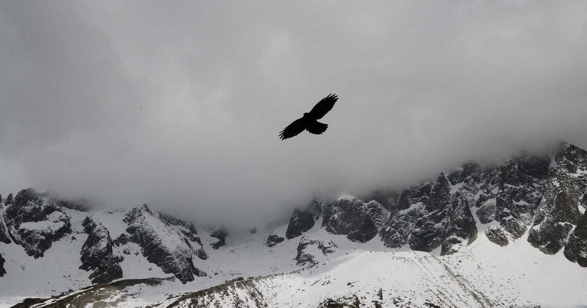 Olavsfestdagene medieval celebration at Nidaros Cathedral, Trondheim